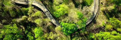 aerial view of a trail