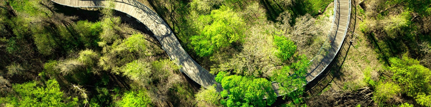Aerial view of trail through wooded area