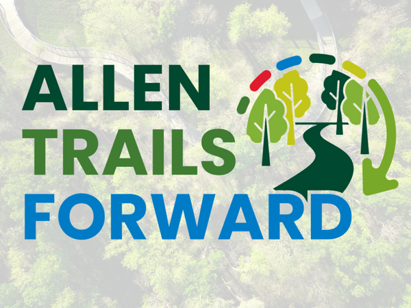 Aerial view of trail through wooded area